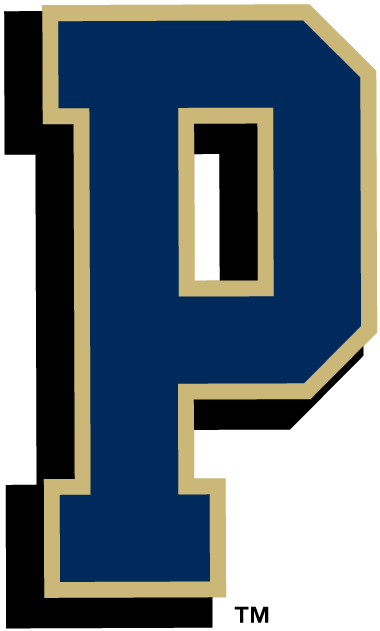 Pittsburgh Panthers 1997-Pres Alternate Logo DIY iron on transfer (heat transfer)